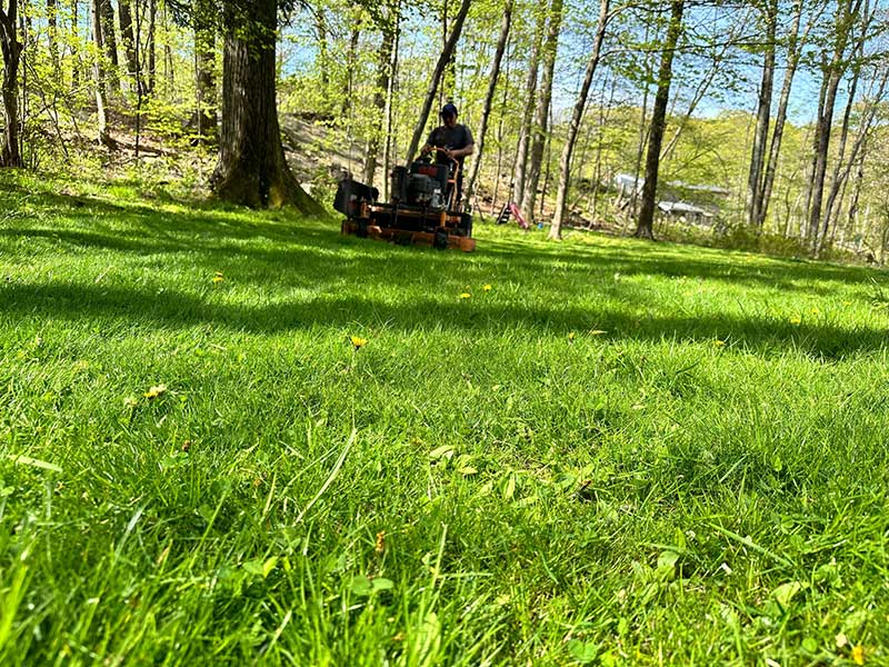 westchester-ny-landscaper