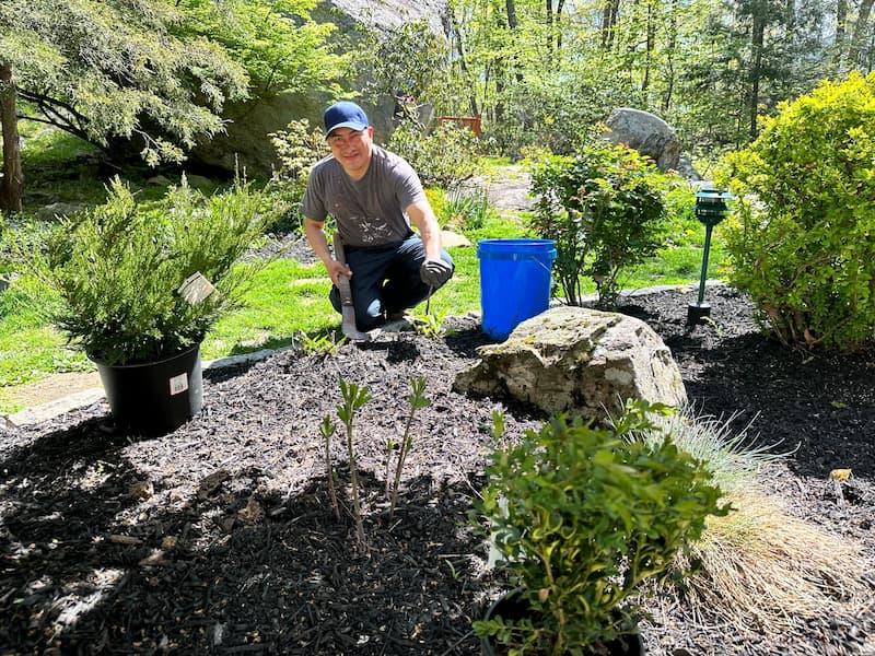 When is the Best Time to Plant New Grass (Sod), Shrubs, Trees, and Ground Cover in Westchester County?