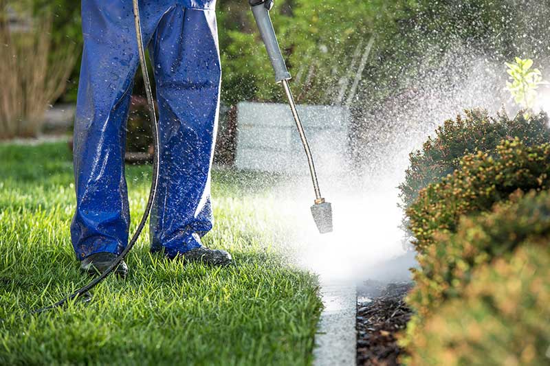 Spring Yard Clean-Up: Prepare Your Lawn for a Healthy Growing Season