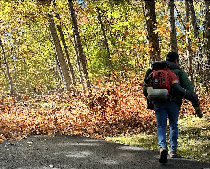 Leaf-clean-up-westchester-ny