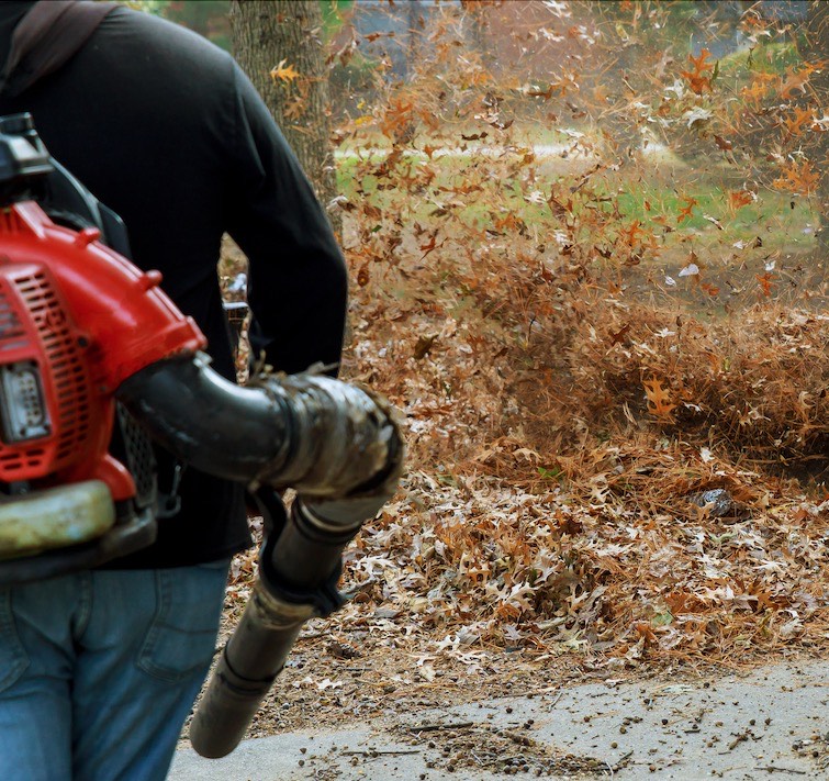 Why Leaf Removal is Important for Lawn Health (And It’s Not Just About Aesthetics)