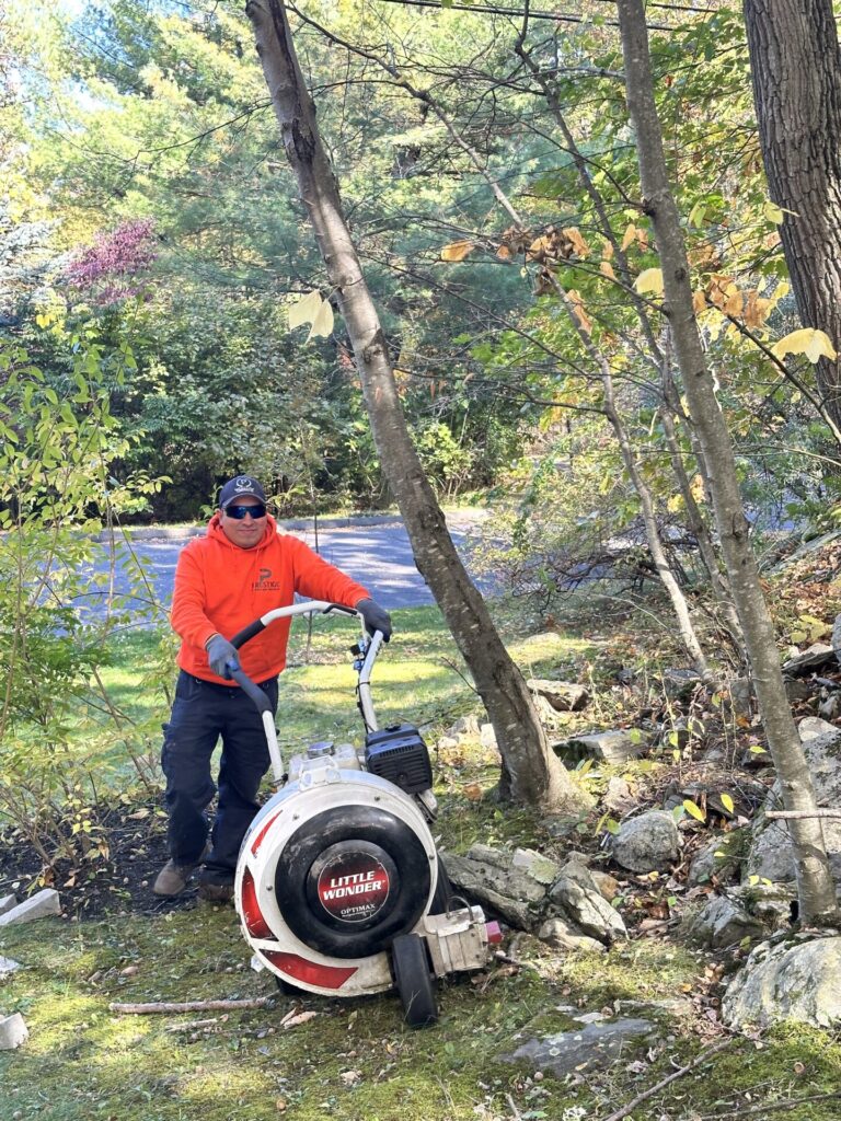 leaf-removal-westchester-county-ny