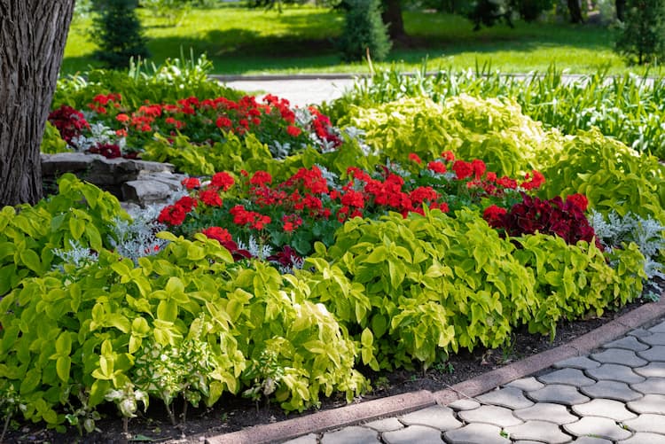 Landscaping services in Bedford NY by Prestige Landscape LLC
