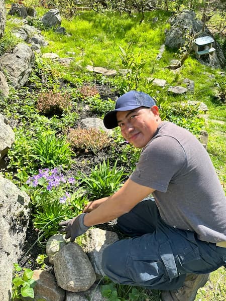 Professional lawn care and property maintenance in Mount Kisco NY